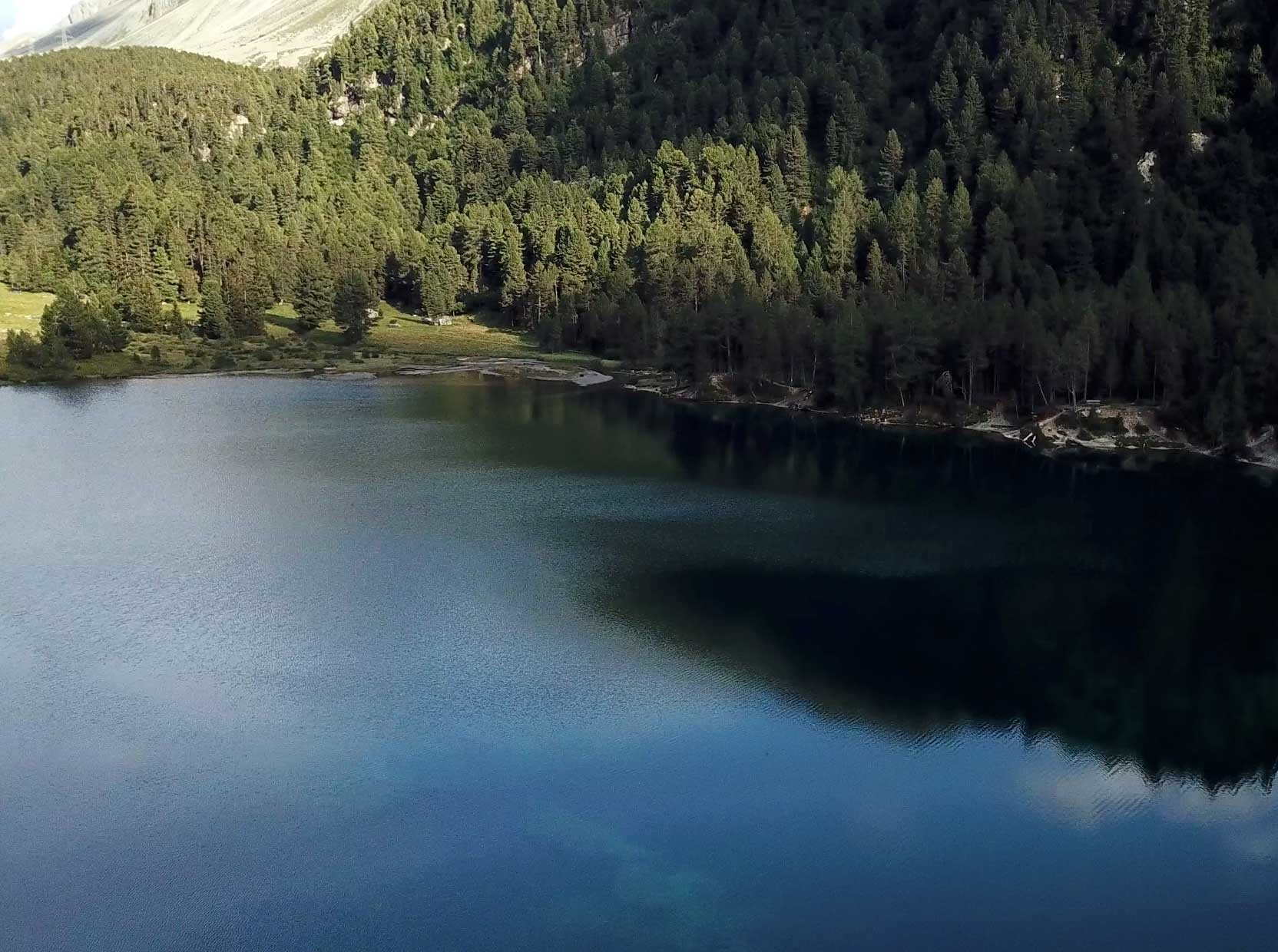 See in Natur
